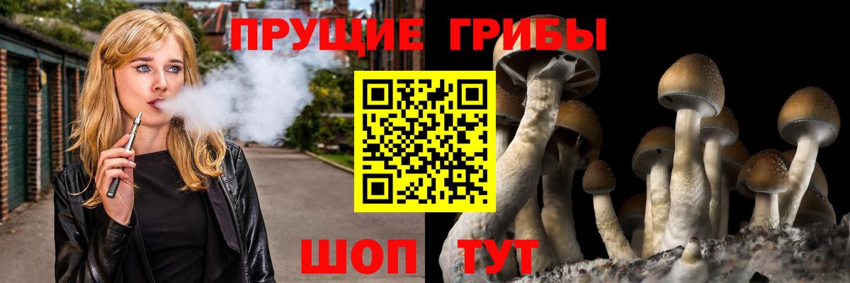Псилоцибиновые грибы Magic Shrooms  Вход с VPN  Нижний Новгород  Псилоцибиновые грибы прущие грибы 